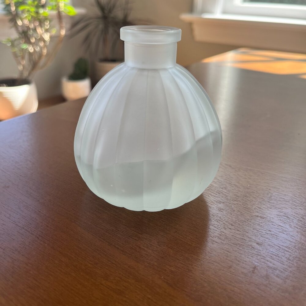 Simons NWT Frosted Glass Vase